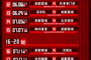 开云体育登录-深圳凤凰客场豪取胜利，晋级16强
