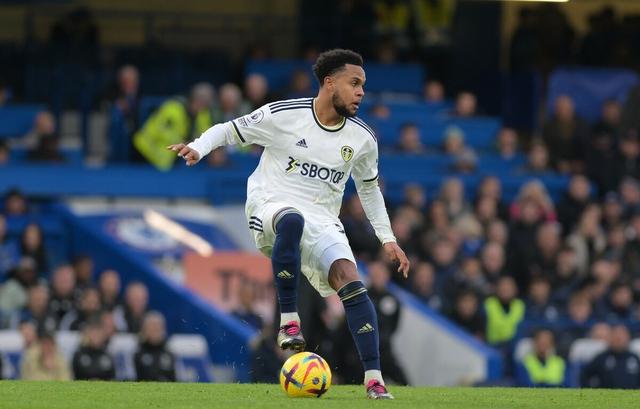 利兹联主场击败布莱顿，保级希望渐浓的简单介绍