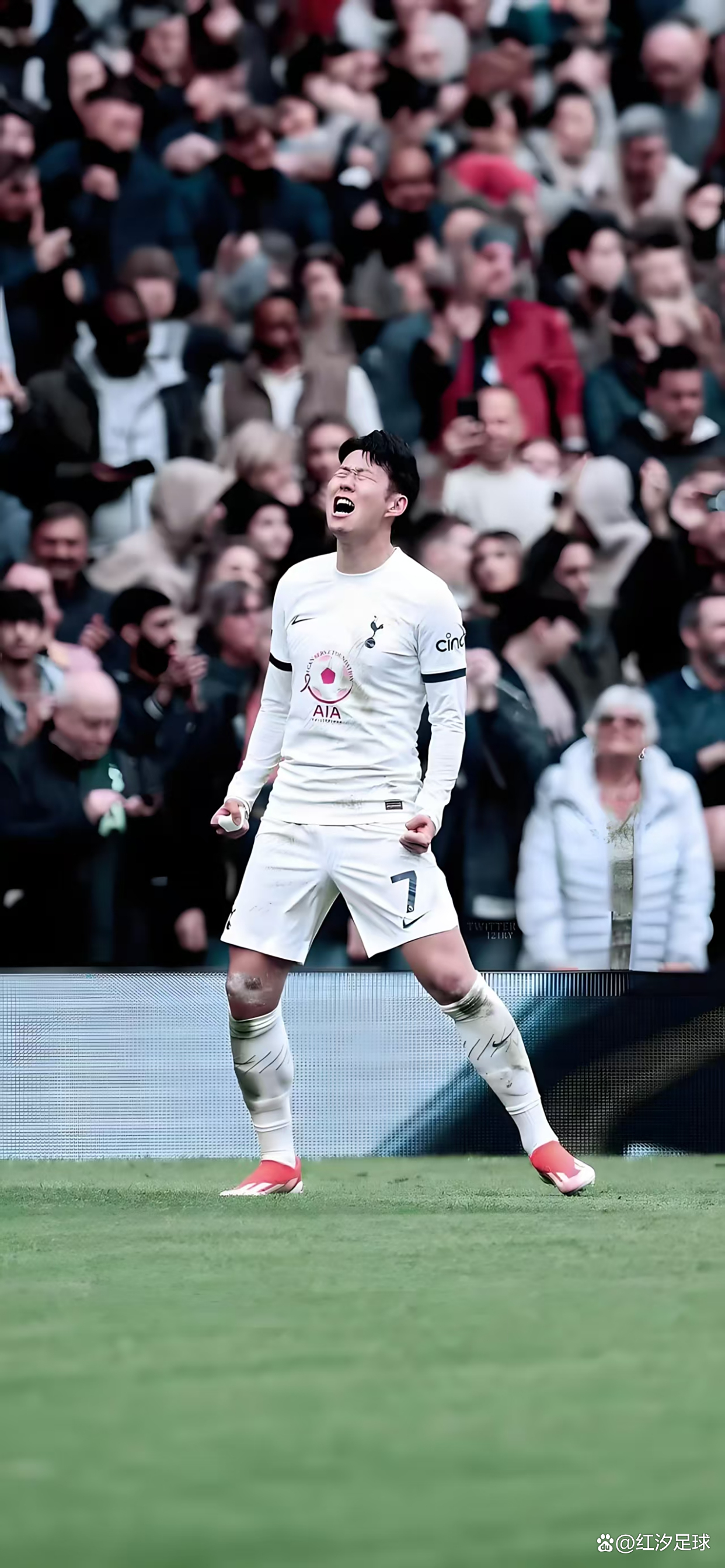 热刺主场取胜，英超前四悬念未解的简单介绍